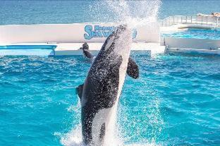 Kamogawa Sea World Hotel Værelse billede