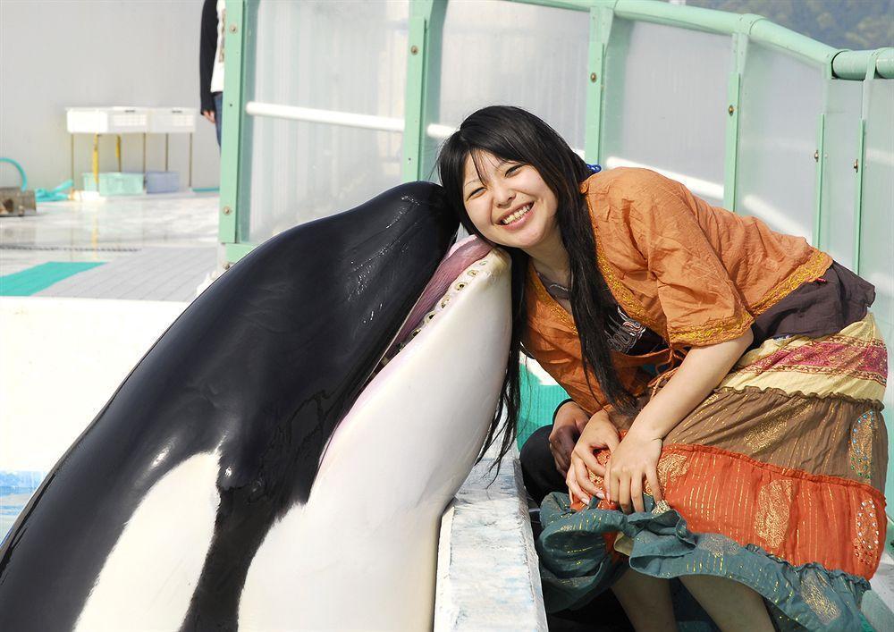 Kamogawa Sea World Hotel Eksteriør billede